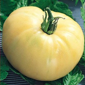 Tomate White Beauty