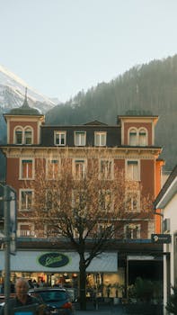 photo chicorée italienne
