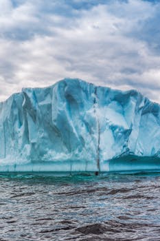 photo iceberg laitue