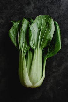 photo pak choi