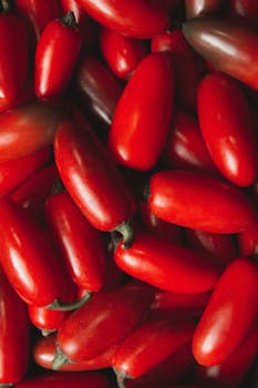 photo san marzano tomates