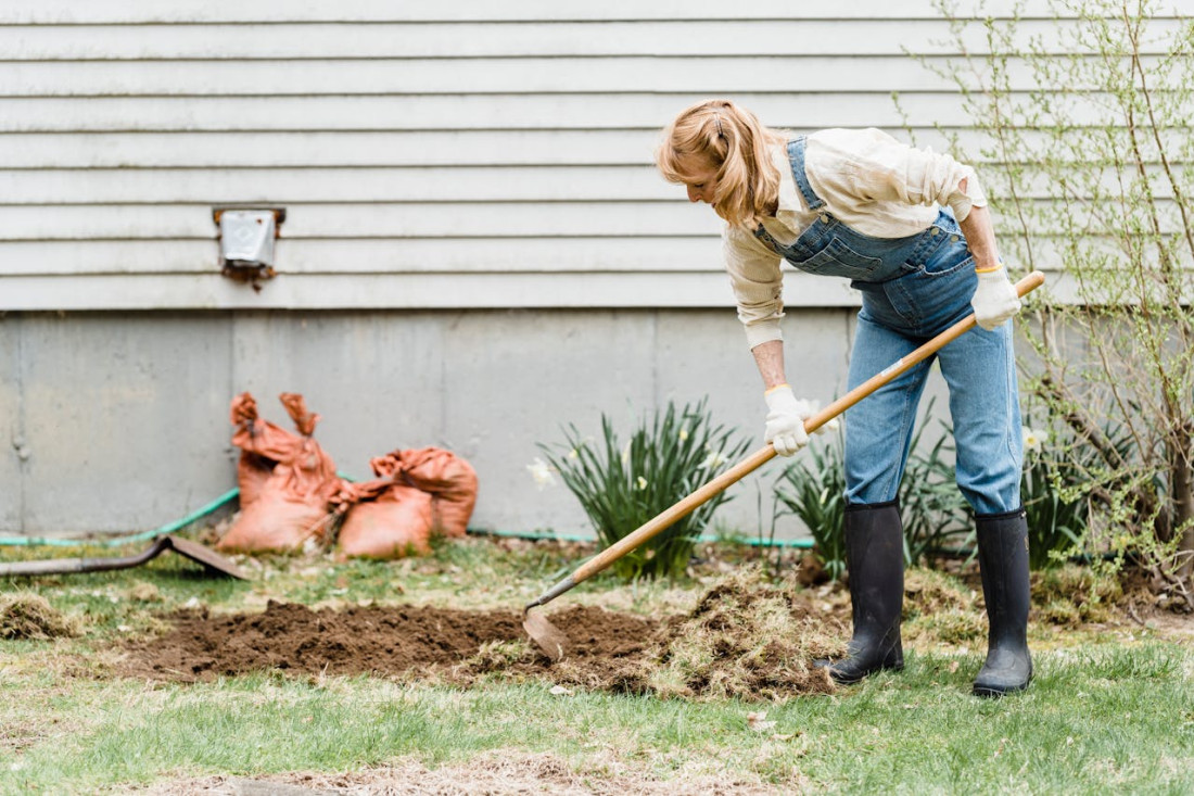 Pourquoi 80% des potagers échouent la première année (et comment éviter ces erreurs)
