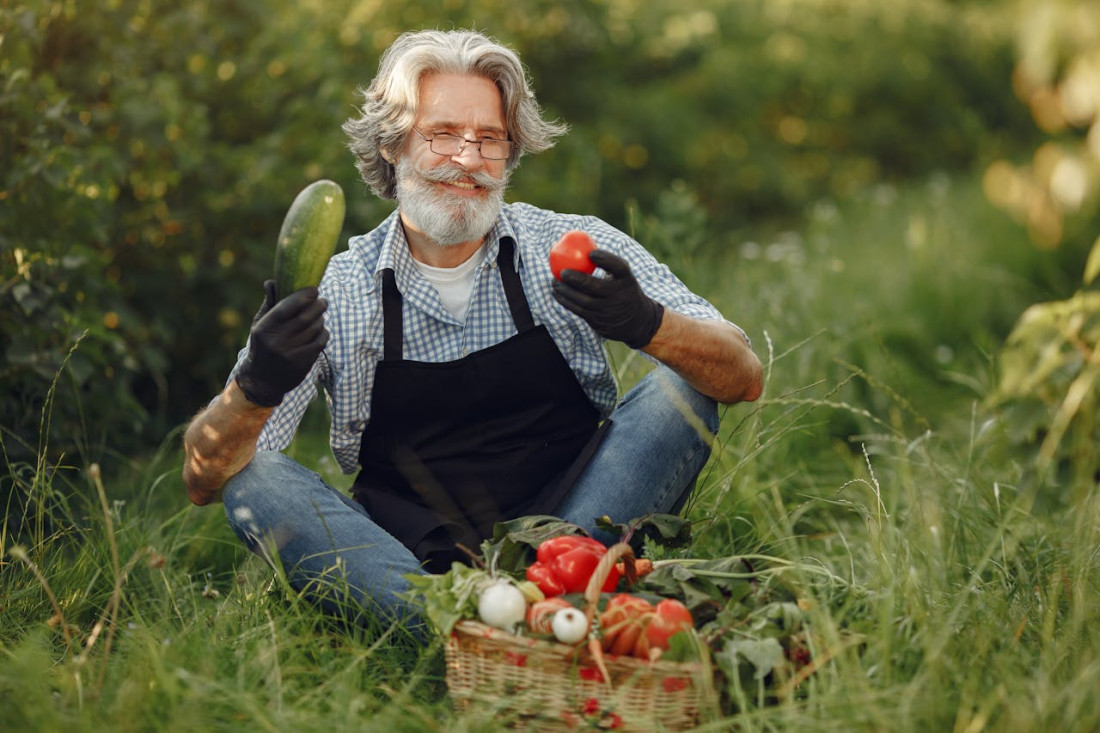 Calendrier 2026 : tout ce qu’il faut planter au jardin, mois par mois